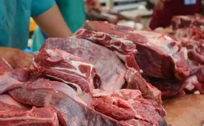 Ғалым киік етін өңдейтін арнайы комбинат салуды ұсынды