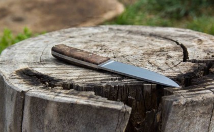 Петропавлда басқа қаладан келген қонақ үш туысын пышақтады: Екеуі көз жұмды