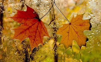 Қарашаның 5-сі күнгі ауа райы болжамы