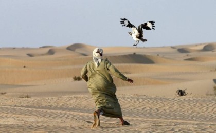 «Қызылорда облысында құнарлы жерлер арабтарға сатылып жатыр» - қоғам белсендісі