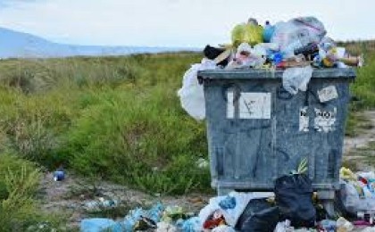 Шымкентте қоқыс контейнерінен әйелдің мәйіті табылды