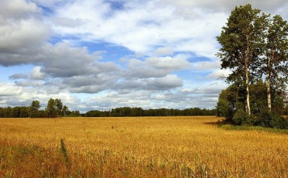Жер реформасы бойынша комиссия құрамы бекітілді