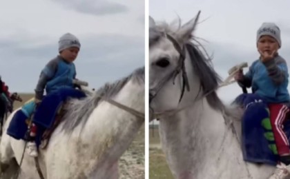 "Біздің бала-шаға дамбалын әрең киіп жүр". Желіде ат үстінде сенімді отырған 3 жасар шабандоз көпті тәнті етті