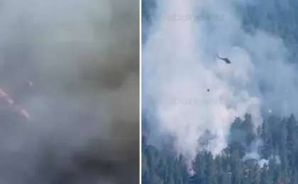 Абай облысында орман өртенді