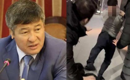 Жоғарғы сот Дәулет Тұрлыхановтың ұлына кесілген сот үкімін өзгертті