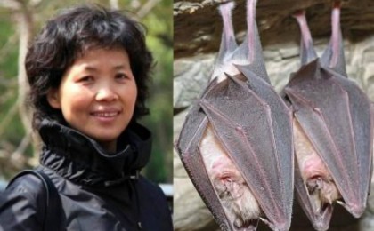 Ухань зертханасы тапқан вирустар "айсбергтің ұшы" ғана болып шықты - Қазақстан жаңалықтары