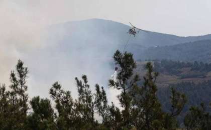 Түркияда өршіген орман өрттері жүздеген адамды эвакуациялауға мәжбүр етті