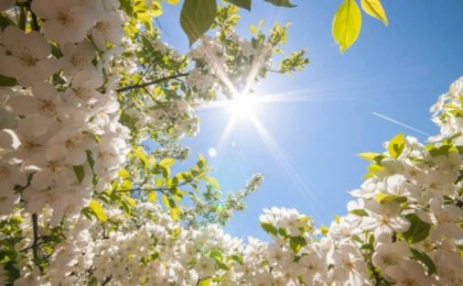 Қазақстанда ыстық ауа-райының төмендеуі күтілуде - Қазақстан жаңалықтары