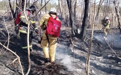“Семей орманындағы” табиғи өрт өшірілді