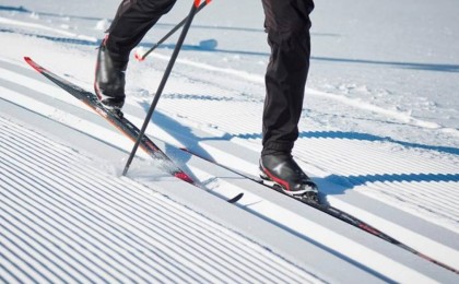 Жасөспірім шаңғы базасында ағашқа соқтығысып, қаза тапты