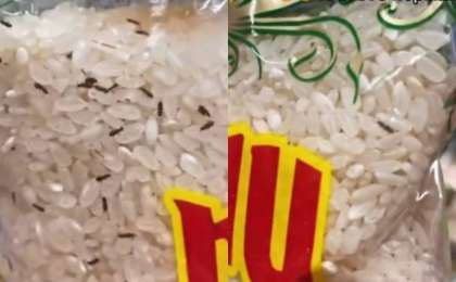 Magnum дүкеніндегі күріштерде құрттар қаптап жүр