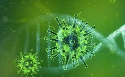 Коронавирус мутациялана бастады: Жаңа вирусқа 20A.EU1 деген атау берілді
