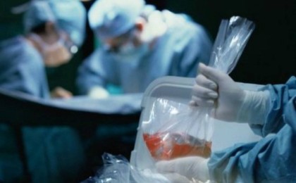 5 адамның өмірін бір донор құтқарды - Қазақстан жаңалықтары