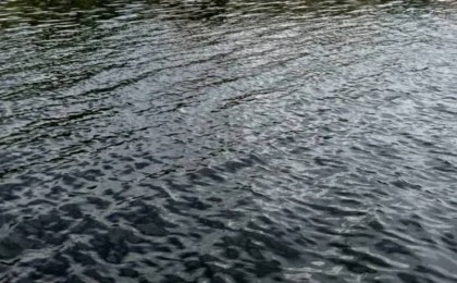 Атырауда Жайықтан белгісіз біреудің мәйіті табылды