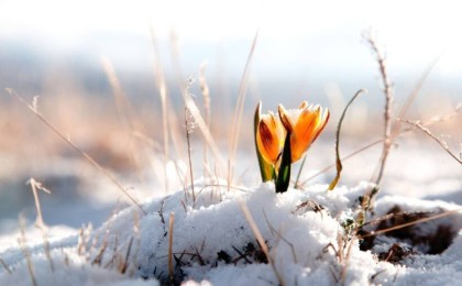 Наурыздың 10-ы күнгі ауа райы болжамы