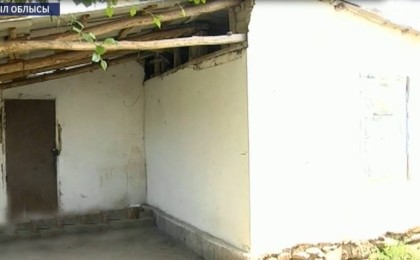 Жамбыл облысында Өзбекстан азаматы екі әйелді бауыздап өлтіріп кетті - Қазақстан жаңалықтары