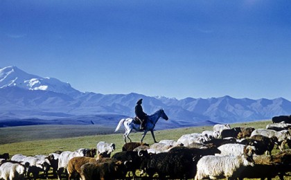 Жамбыл облысында Өзбекстан азаматы екі әйелді айуандықпен өлтіріп кетті