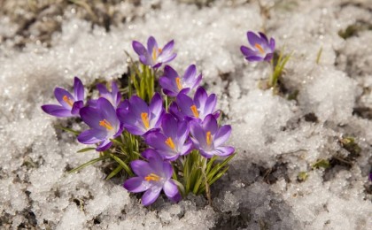 8 наурыз күнгі ауа райы болжамы