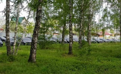 Орманнан қараусыз қалған 50-ден астам жап-жаңа Toyota Camry автокөлігі табылды - Қазақстан жаңалықтары