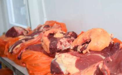 Соғымды қай уақытта сою керек