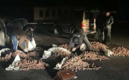 Қызылордада мыңнан аса киікті қырып салған қылмыстық топ ұсталды