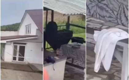 "Әліби сол күні сау болды": Алматы облысында мектеп бітіру кешінде мерт болған 11-сынып оқушысының жақындары жағдай туралы айтып берді