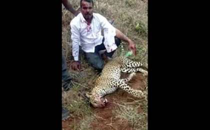 Әйелі мен қызын құтқарған: Ер адам шабуыл жасаған жыртқышты жалаң қолымен өлтірді