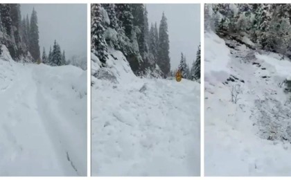 Алматы облысында тас жолға қар көшкіні құлады (видео)