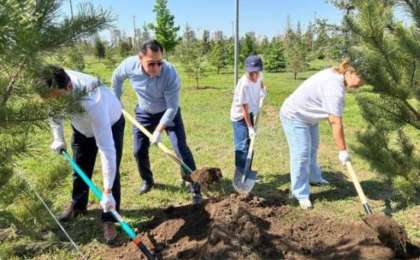 Отбасы күні: елордада ағаш отырғызу акциясы өтті