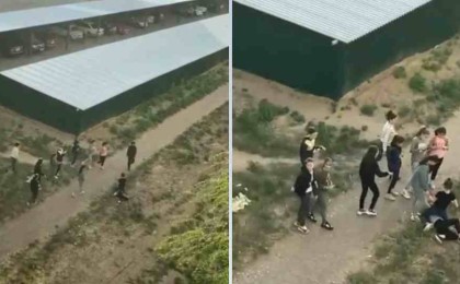 Павлодарда екі бойжеткен сынған телефон үшін төбелесті (видео) - Қазақстан жаңалықтары