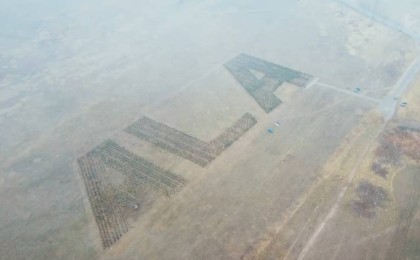 Алматыда ғарыштан көрінетін "ALA" бағы отырғызылмақ