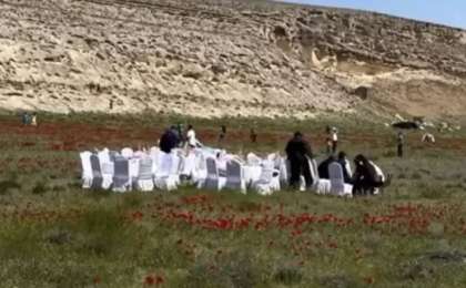 Маңғыстауда қалың қызғалдақтың ортасына дастархан жайғандар жұрттың ашуын туғызды