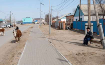 Проект «Демеу» стартовал в Алматинской области