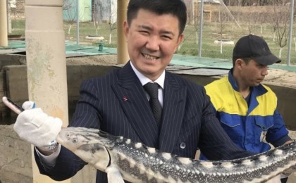 Болат Өтемұратовтың жиені 5 жылға бас бостандығынан айырылды