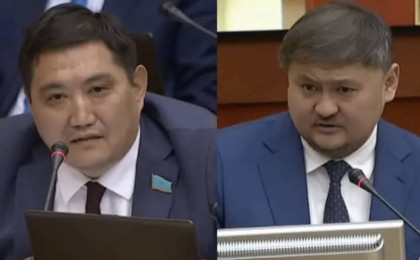 "Сөздеріңіз әдемі өлең сияқты": депутат министрді мақтады