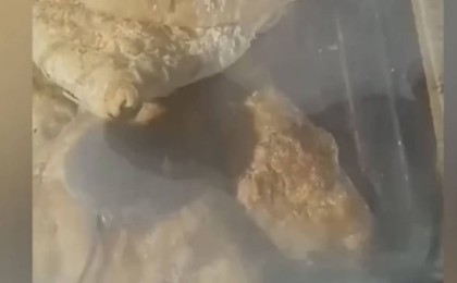 “Самсаның арасында тышқандар өріп жүр”: Семей базарындағы дүңгіршектің видеосы тарады