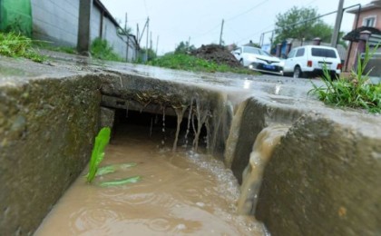 Сел салдарымен күресте "Мақтаарал тәжірибесін" пайдаланамыз – Шөкеев