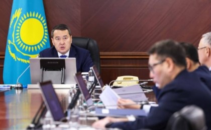 Премьер-министр бірқатар шенеунікті жазалап, комитет басшысын қызметінен босатуды тапсырды