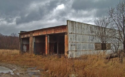 Теміртаудан маугли-бала табылды