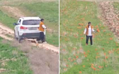 Қызғалдақ терген әйел 12 миллион айыппұл төлемек