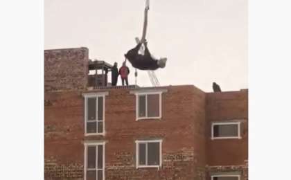 Нұр-Сұлтанда ұшып бара жатқан сиыр видеоға түсіп қалды