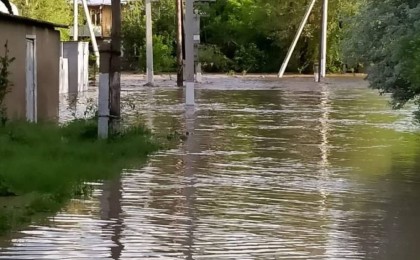 Түркістан облысында су басқан ауылдардағы жағдай туралы ақпарат жарияланды
