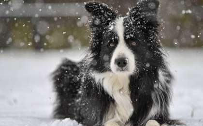 Ер адам итіне мұрагерлікке 5 млн доллар қалдырды