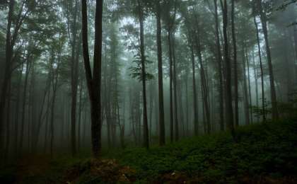 Алматы облысында бір отбасының 6 адамы жоғалып кеткен