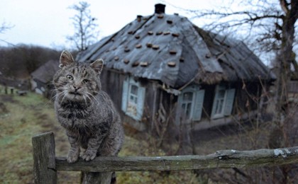 Қостанайда 6 жыл бұрын жоғалып кеткен адамның сүйегі қаптан табылды  