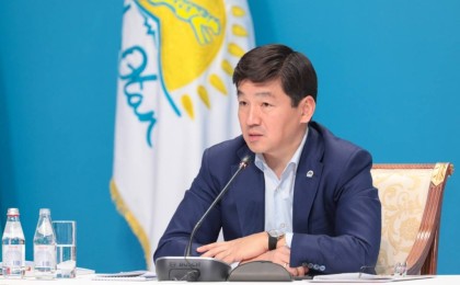 Б.Байбек пен Nur Otan Экологиялық кеңесі Кіші Талдыкөлді құрғатуға қарсы