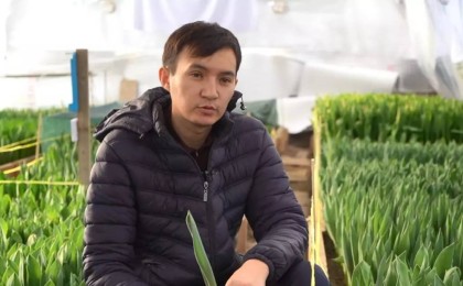 "Келіншегіме жасаған сыйлығым": жамбылдық жігіт жалғыз көлігін сатып, әйеліне гүл бағын салып берді