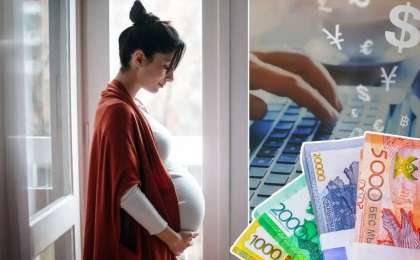 «Миллионмен декретке» курсының авторлары жауапқа тартыла ма – министрлік жауабы