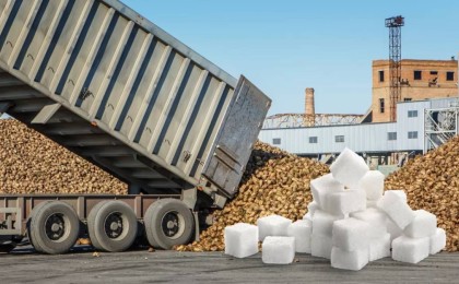 Қазақстан неге дайын қантты шетелден қымбатқа сатып алады?