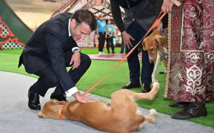 Тоқаев Макронға сыйлаған тазы күшіктеріне Жюль және Жанна деген есім берілді